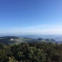 Wisenberglauf 2019