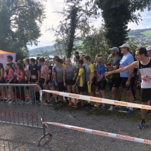 Hallwilerseelauf 2019