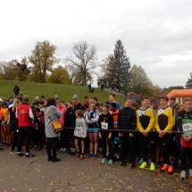 Augusta Raurica-Lauf 2019